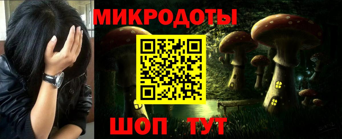 Лабытнанги  Псилоцибиновые грибы Psilocybine cubensis  Вход с VPN 